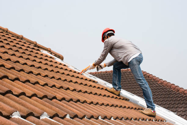 Best Solar Panel Roofing Installation  in Commerce, TX